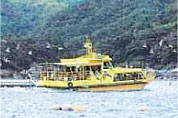 Ine Bay Tour Boat