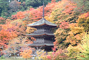 Kongo-in Temple